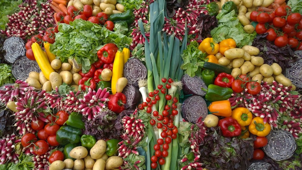 Farmer holding freshly harvested vegetables
